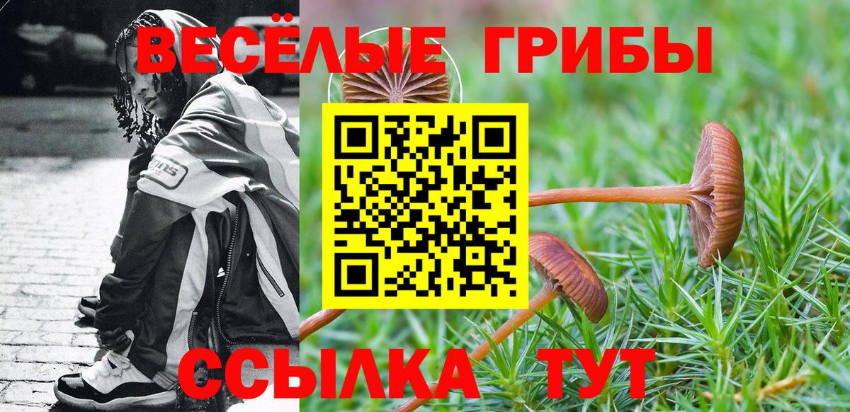 Дзержинский  Псилоцибиновые грибы ЛСД  Вход с VPN 