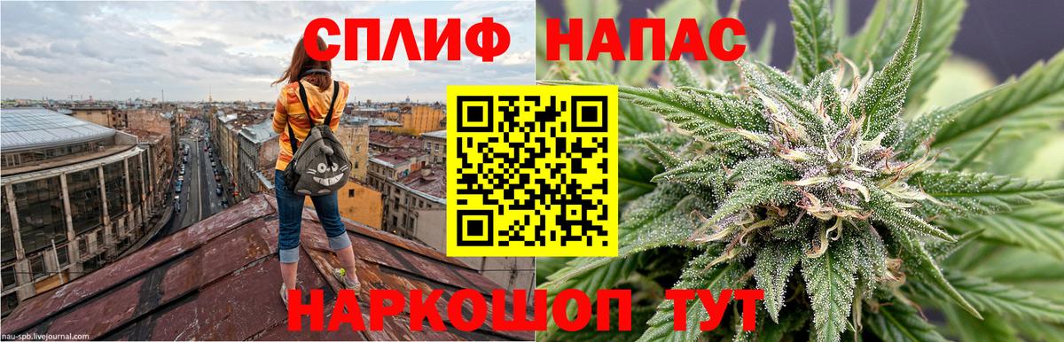 Бошки Шишки Amnesia Дзержинский